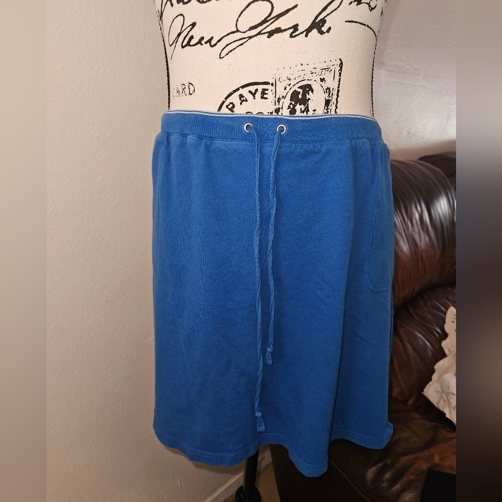 Duck Head Womans Blue Mini Skirt Size Xl